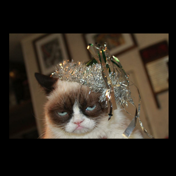 MMeebles's tweet image. Hope you all are as excited about the upcoming year as I am!