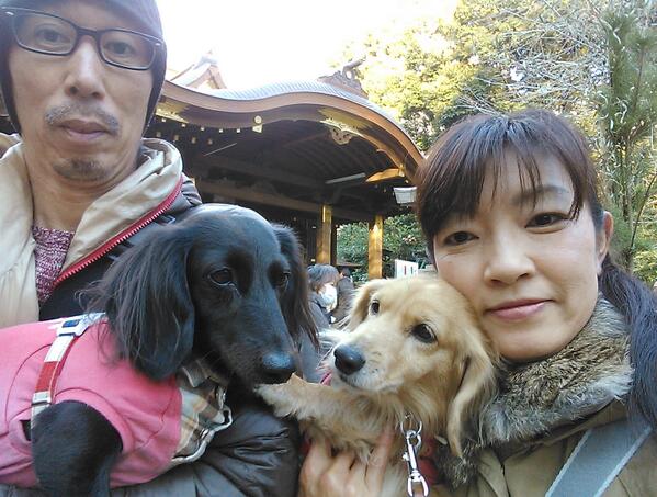 creamachs's tweet photo. 明けましておめでとうございます。
初お出かけは氷川神社に初詣 http://t.co/37p3mMLE45