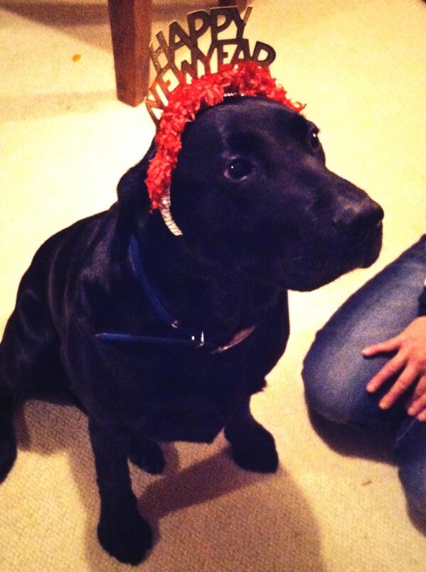 ladyjoinx's tweet photo. Def my first kiss of 2014 #annie #ilovedogs http://t.co/U8tm8zheqr