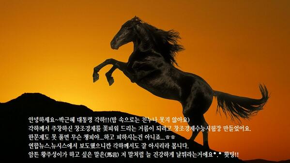 echangjo's tweet image. 박근혜 대통령께 보내는 갑오년 연하장