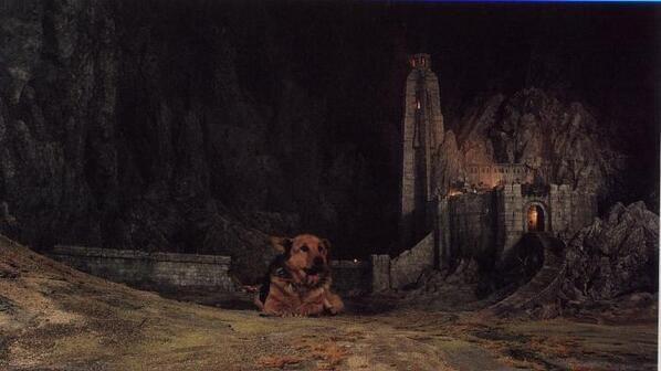 HistoryInPics's tweet image. A dog guarding the Helm's Deep set, used in Lord of the Rings - The Two Towers