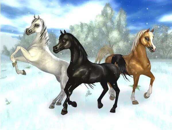 stable_star tweet picture