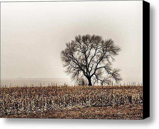 photoworks tweet media