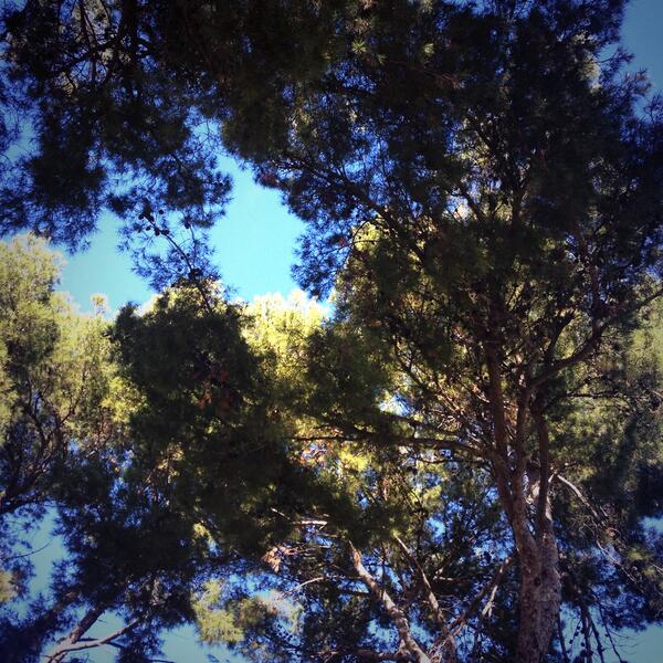 AboutMallorca's tweet photo. Así nos recibe el 2014 en #Mallorca! http://t.co/RlKrAuZovp