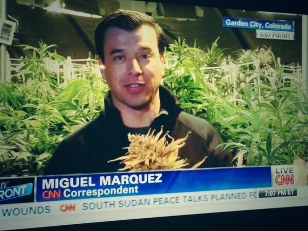 And yet civilisation has failed to grind to a halt.