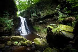 Hareshaw Linn  reached by a short walk from Bellingham - is there a prettier waterfall in the uk?
#northumberlandhour