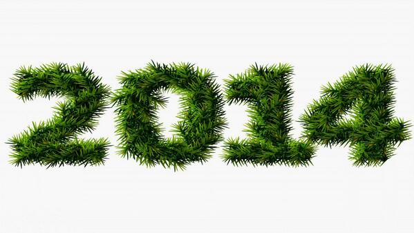 2015 год объявили годом. Новогодние цифры. Цифры из травы. Зимние буквы. Новый год надпись.