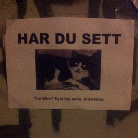 Hans-Wilhelm Staysman tweet media