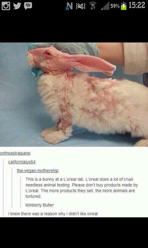 chantel_5SOS's tweet photo. spread it http://t.co/haQp23yiY1