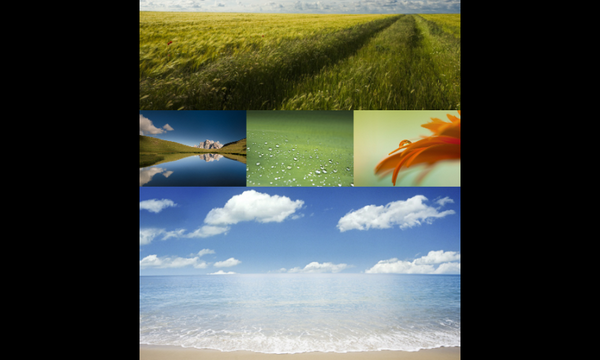 EnvirmentGlobal's tweet photo. Imagine the world like that.you can make it happen. live green and wealthy http://t.co/LIYnAHHzew