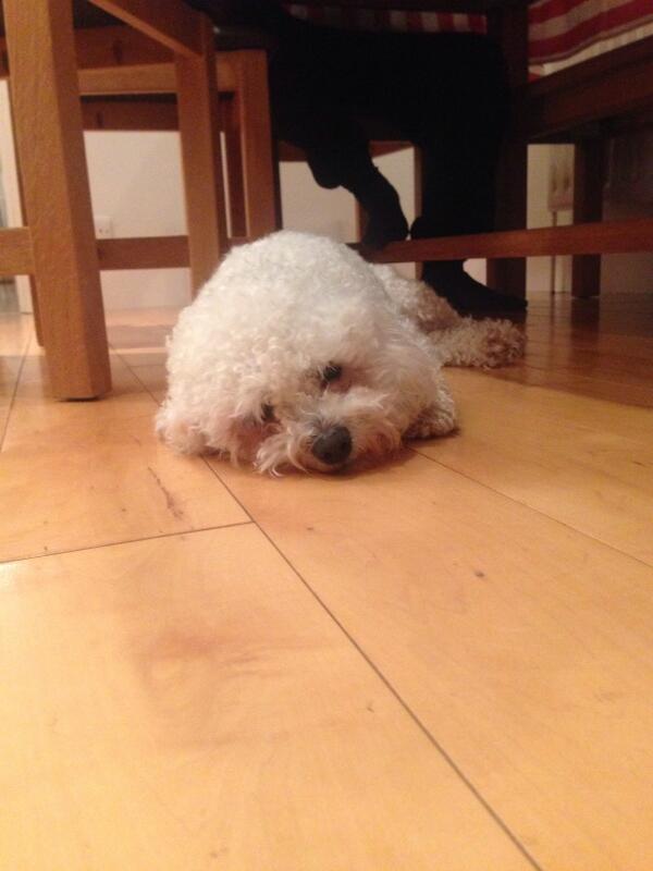 Walked for 45 minutes in the rain. The Clockhouse closed; seriously fucked off...