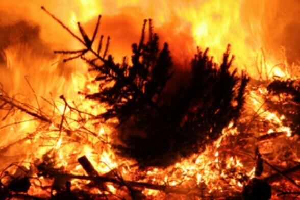 DxEAZY's tweet image. Down with Stanford #BurningTree #WhyCardinal