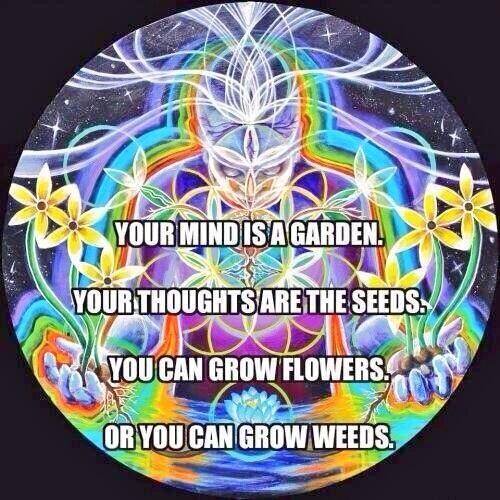 tripwisdom's tweet image. 