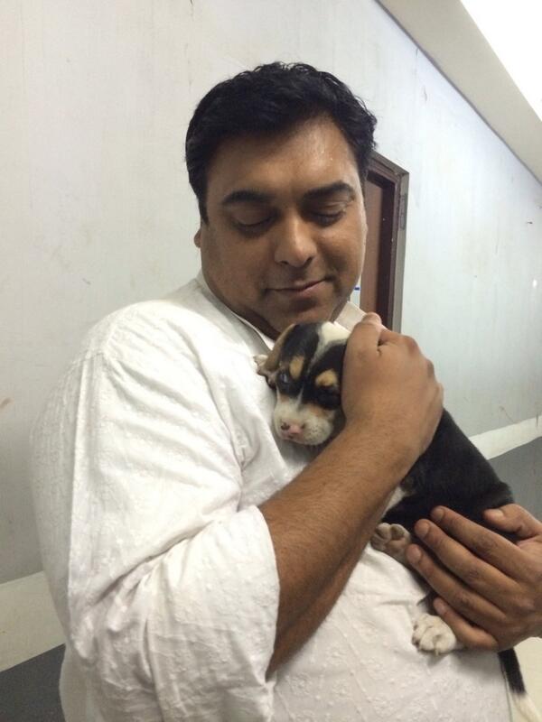 Embedded image permalink