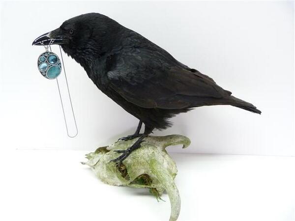 까마귀짤봇 tweet media