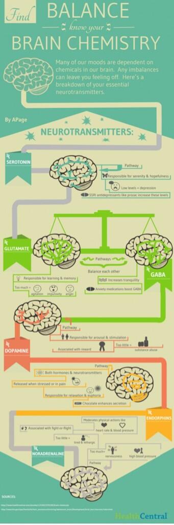 ElBullBear's tweet photo. Simple brain chemistry infographic for explaining impact of #mj http://t.co/1vUlkg3Ayv