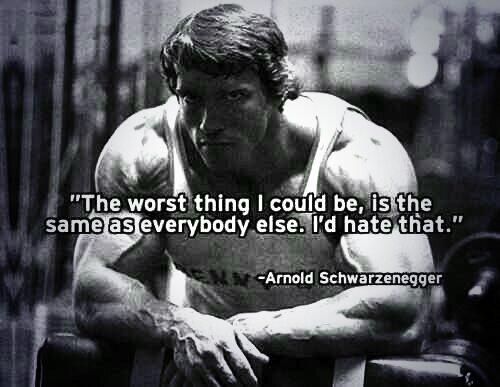 OfficialBulmer's tweet image. Arnold knows best.