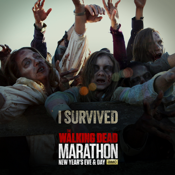 AMCthewalking's tweet photo. Congrats for surviving Walkers, The Governor, and Daryl's bow &amp; arrow! RT and let your friends know! http://t.co/D7pyWX40mh