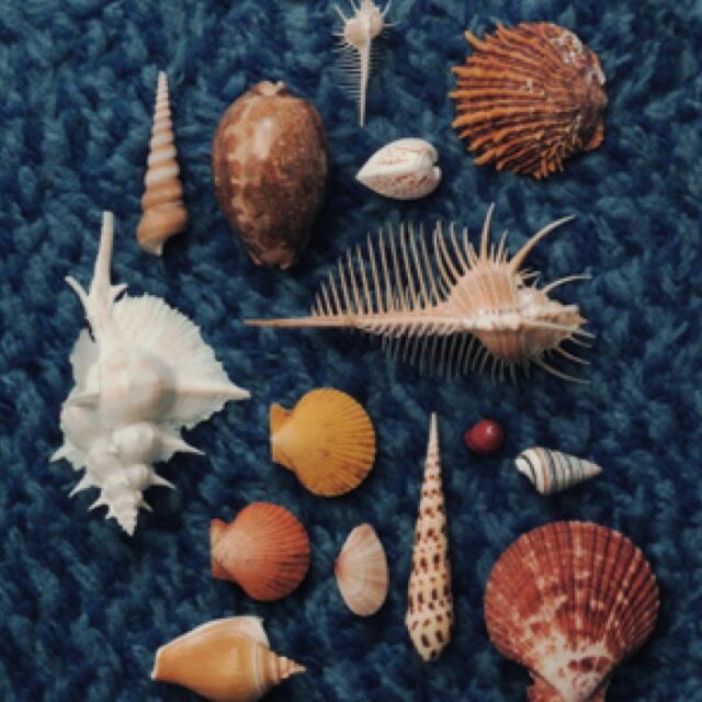 歌詞に励まされる遠距離恋愛ソングまとめ スピッツ 君が思い出になる前に Renote リノート