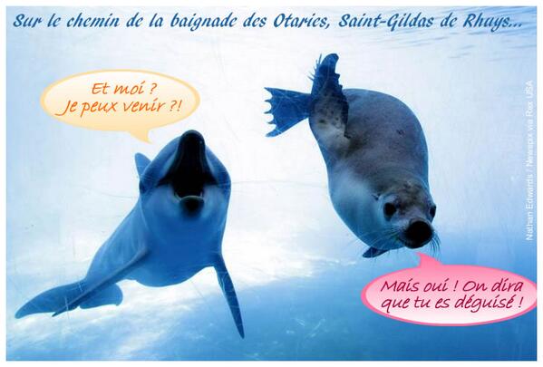 rhuystourisme's tweet photo. Il se murmure que demain, sur la plage des Goh Velin, certains vont se jeter au bain ! http://t.co/hdj4IhnmZD