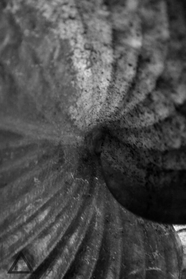 blackwhitegraph's tweet photo. Black Hole http://t.co/kA321zXko4