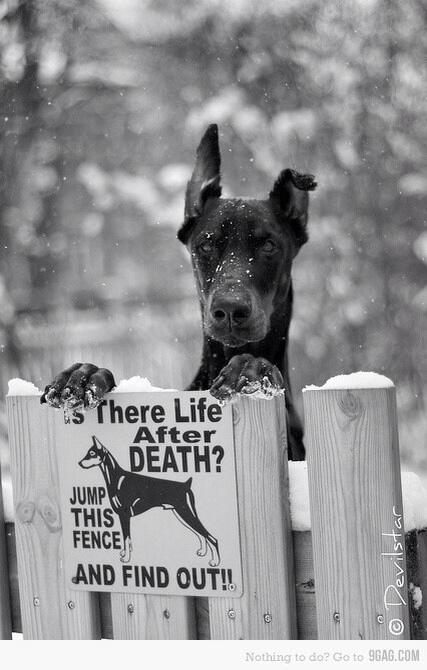 Samcherrie's tweet image. 