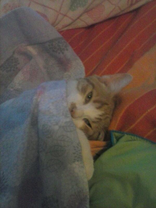 jjarriaza's tweet photo. @ManuelvManuelv ee saludos de parte de algien jajajaja http://t.co/L8KfgH6Qwi