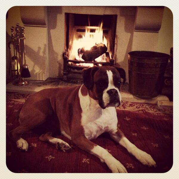 OMOfficeeq's tweet image. It's the life