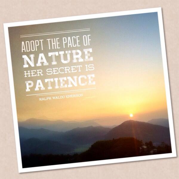 urbannatures's tweet photo. "Adopt the pace of nature, her secret is patience." -Ralph Waldo Emerson http://t.co/BUhCI9n6GQ