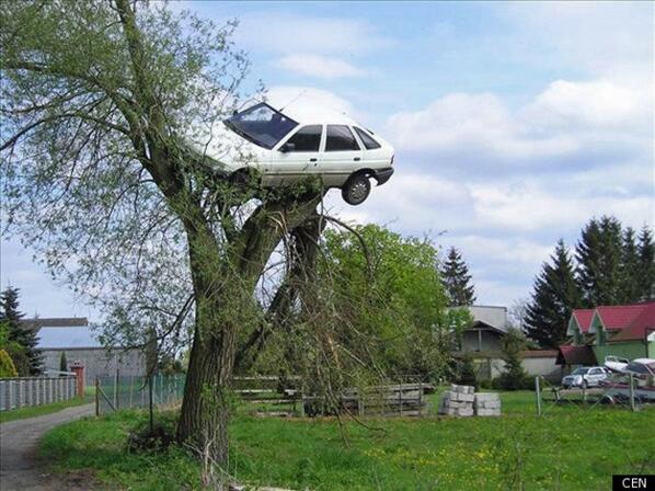 BrendenH_27's tweet photo. "@ScottFilmCritic: Ron Weasley's dad arrested for drink driving. http://t.co/kQMr4f4wQI" @chene_schoeman