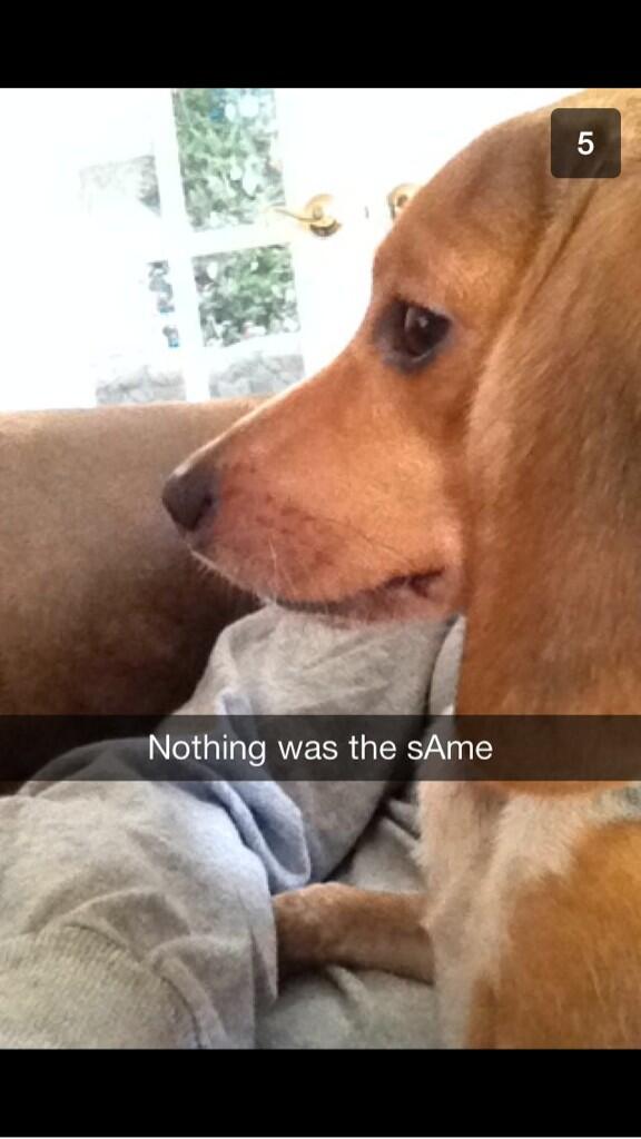 SCanoli's tweet image. OMG and they were ALLLLLL of piper #SOS #GetHerHelp #NotHerDog  @DuBois_Lauren