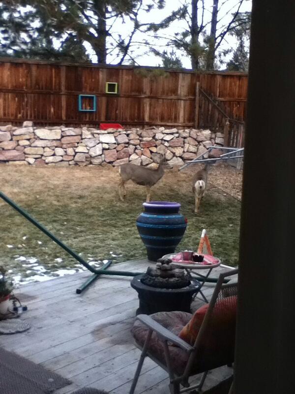 SargentCarter90's tweet image. @ProSyndicate They see me rollin dey hatin