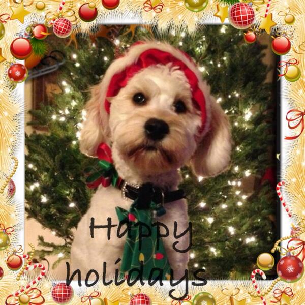 Agapi43's tweet image. 