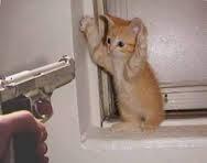 MirandoFotos's tweet photo. Noo yo no he sido  :( http://t.co/wGhWpcXn2c