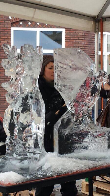 Prachtige plaatjes #ijsbeeldenfestival #duiven200.