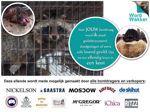 Voor jouw <a href="/nickelson/">NICKELSON</a> #bontkraag word ik anaal geëlektrocuteerd, doodgeslagen of soms zelfs levend gevild.