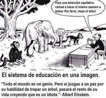 Derecho U El Bosque  tweet media