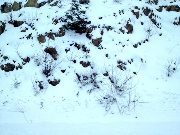 I am dreaming about White Christmas