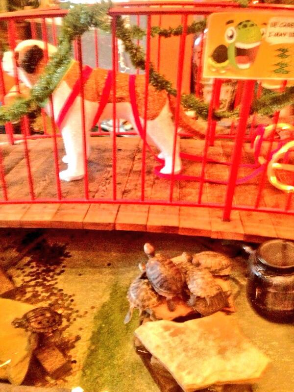 LilyBugLF's tweet photo. Hilarious #Kowloon http://t.co/taEQuzXTbH