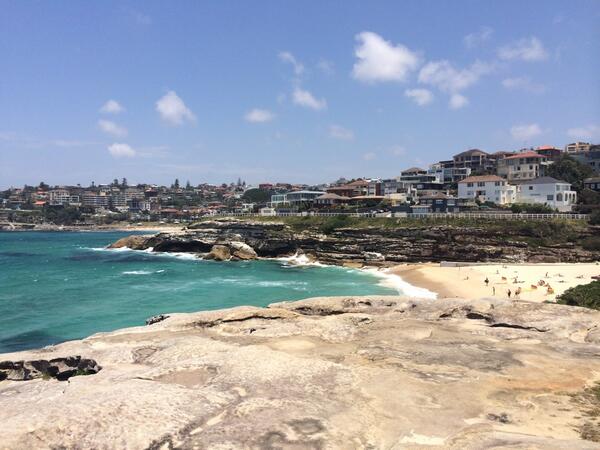 Josh Hicks tweet media