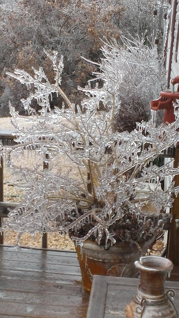 gilleys01's tweet photo. So dang cold http://t.co/4RssXkzIL7