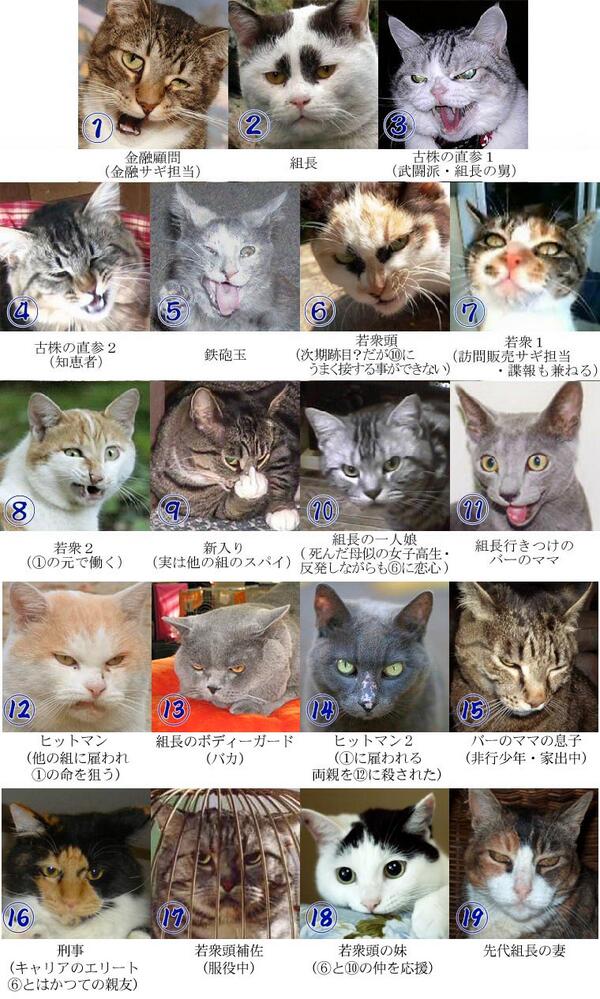 ﾈｺﾔｸｻﾞだﾆｬ