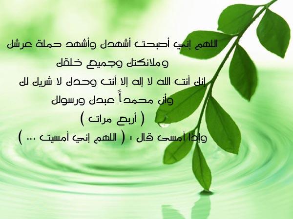 BANDR_ALRAJHI tweet picture
