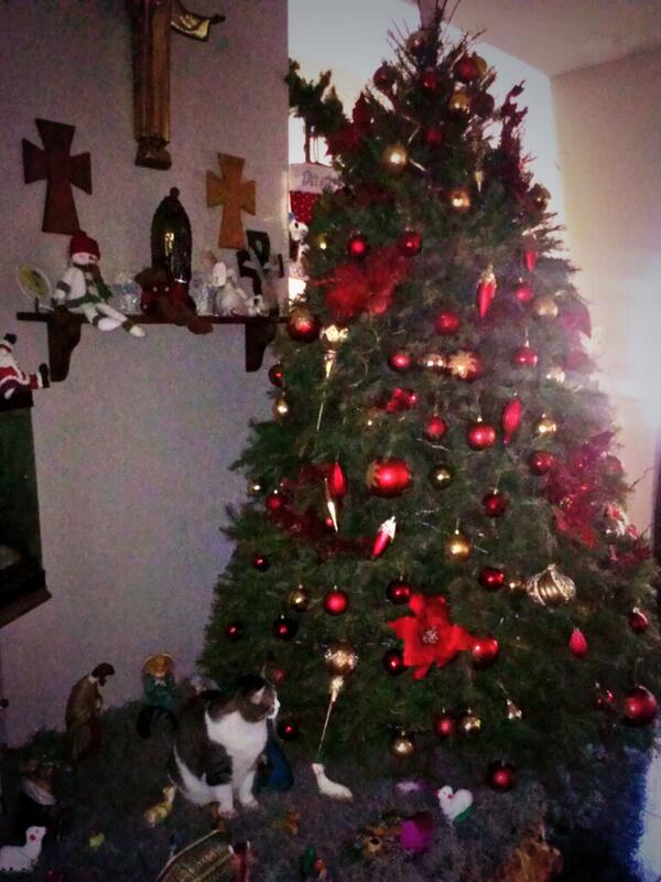 JackieBoo's tweet photo. Oh! Christmas tree, oh! christmas...cat? http://t.co/Jrx65Pgco7