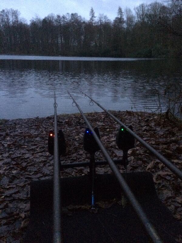 That's the Christmas lights sorted !