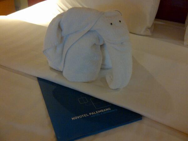 peterrave's tweet photo. At Novotel Palembang http://t.co/W6QP22pLdl