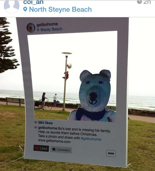 Bo the Bear tweet media