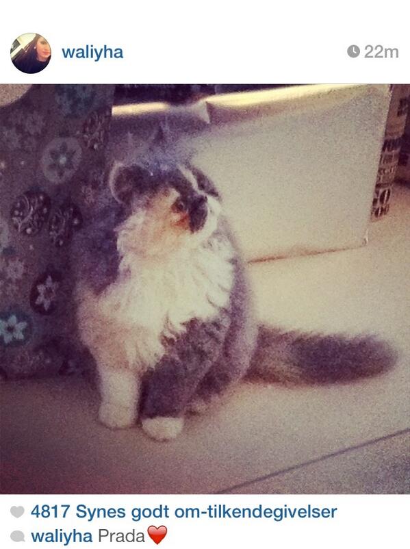 Link permanente da imagem incorporada