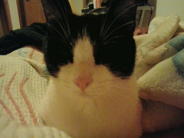 balu_potter's tweet image. Aquele momento em q estás à espera para ir à wc, mas o teu pai demora mais tempo q uma mulher... #firstworldproblems