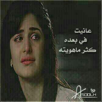 com_zeezo tweet picture
